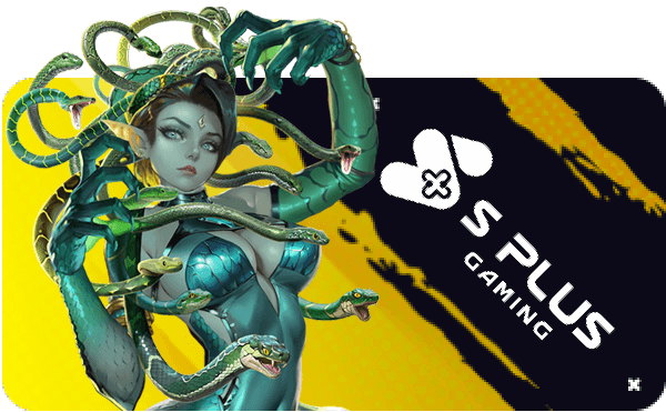 Splus Providericon Version 1.0