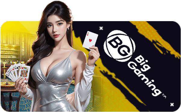 BigGamingCasino Providericon Version 1.0